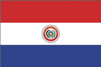 Paraguayan flag
