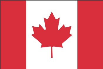maple leaf