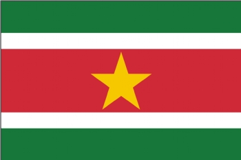 Suriname national flag