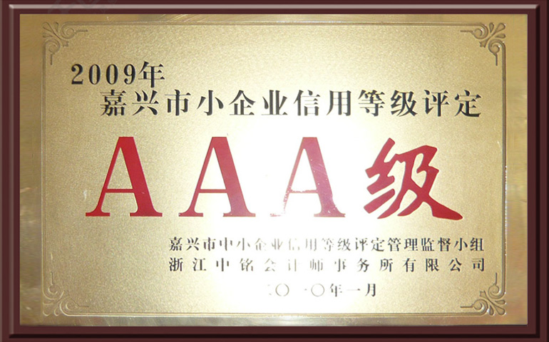 In 2008, the credit rating of small enterprises in Jiaxing was AAA